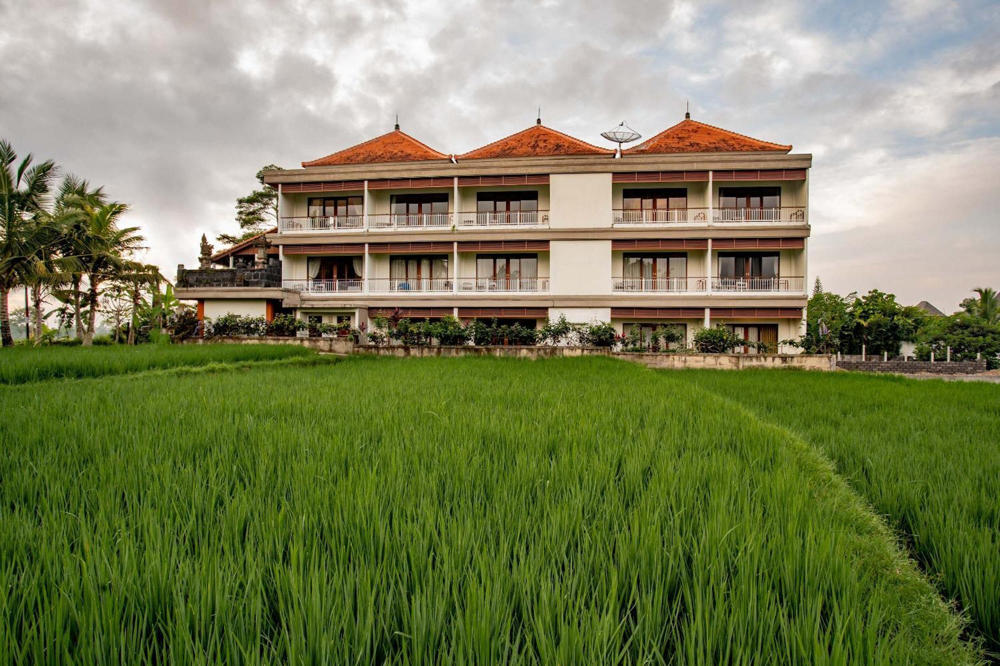 Paon Desa Ubud Екстериор снимка